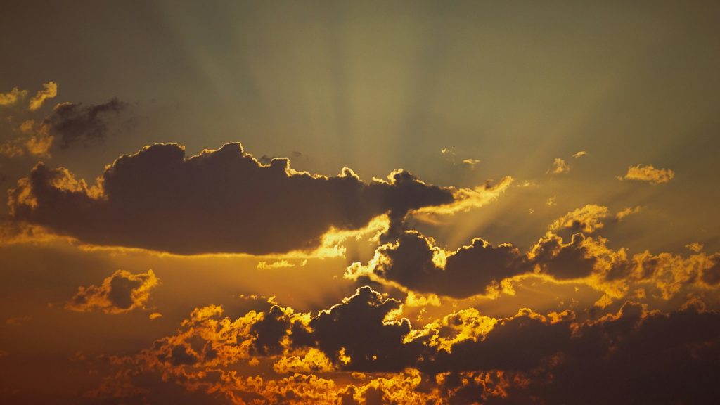 daadkrachtig leiderschap